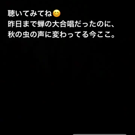 秋の気配！の画像