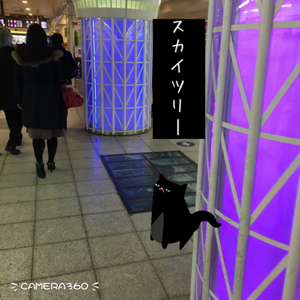 ツリーの下？の記事動画