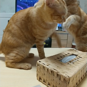 SUGAの誕生日の画像