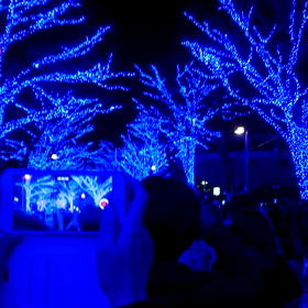 青の洞窟2017の画像