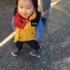 癒しの画像