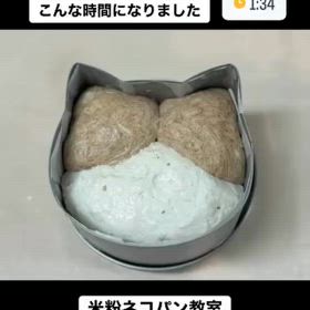 2024/05/08の画像