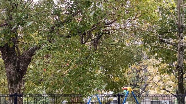 緩めて、満たして、また明日への記事動画