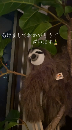 元旦の記事動画
