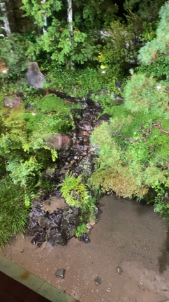 さえ㐂の記事動画