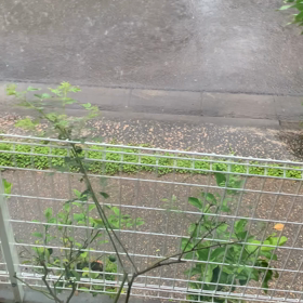 激しい雨の画像