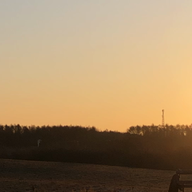 2020/12/27の画像