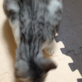 親バカですっっの画像