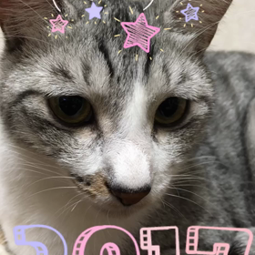 明けましておめでとうございますっっの画像