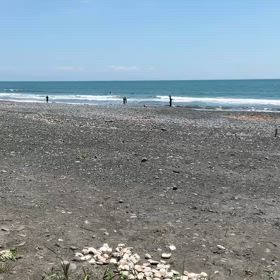 ５月３日　静岡県の画像