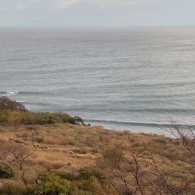 １２月１日　京都府の画像