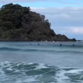 ユーザー様動画　福井県の画像
