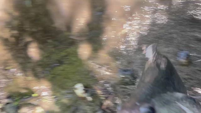 2026.05.10  琵琶湖陸っぱり単日リミット総重量記録の記事動画