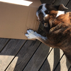 役割分担で楽しむの画像