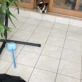 びっくりし過ぎ。の画像