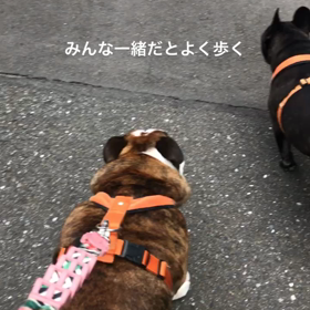 集合写真は難しいの画像