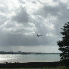 アシアナ揺れてますの画像