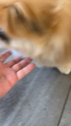 16歳になって出来るようになったことの記事動画