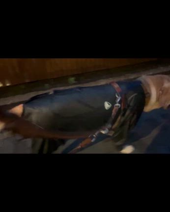 【初出し動画】まさはる君の雨んぽ。の記事動画