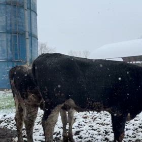 雪のGWの画像