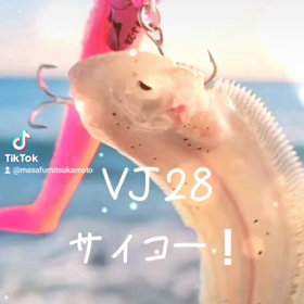 2024/01/10の画像