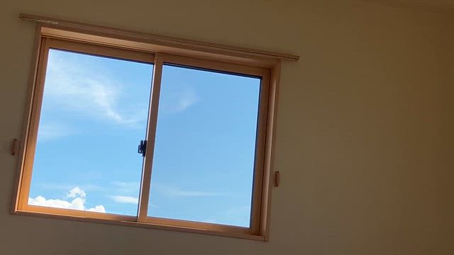 【断捨離】天然の飾り物の記事動画