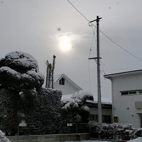 寒い朝❄️の画像