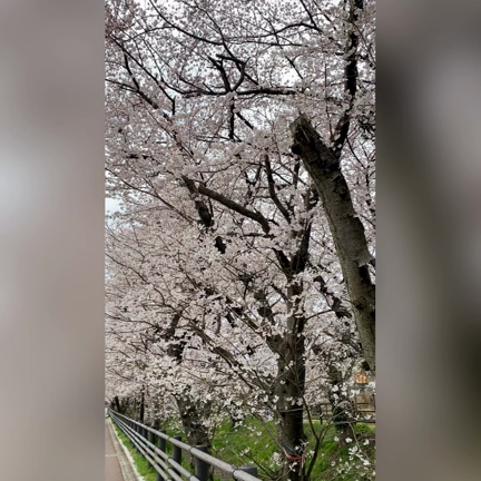 いつまでも若々しく♡の記事動画