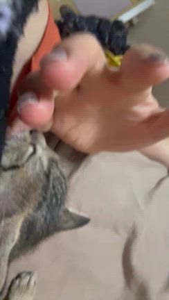 手がボロボロ…痛すぎるからな…ほんま…の記事動画