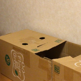 リアルもぐらたたき 再びの画像
