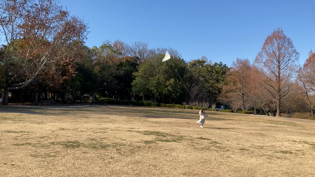 #凧揚げの経験 （帰省中の凧揚げ）の記事動画
