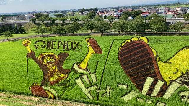田んぼアート2023の記事動画