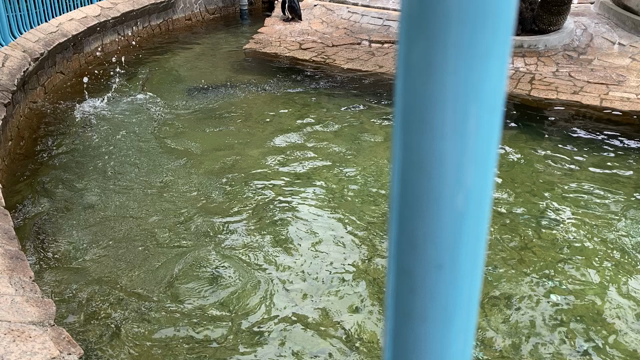 人気の行船公園への記事動画