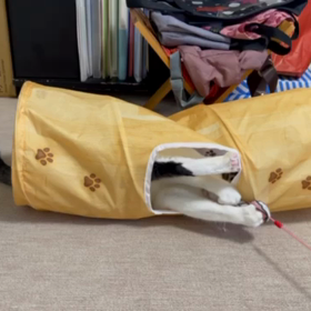 毎日楽しい 海ちゃんの画像