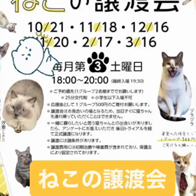 たまゆらんさんの譲渡会 参加しますの画像