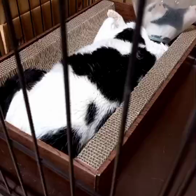 2022/09/17の画像