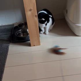 用事をお願いしましたの画像