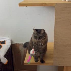 一階のみんな元気です！の画像