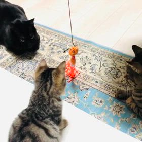 優しいお兄ちゃんたちの画像