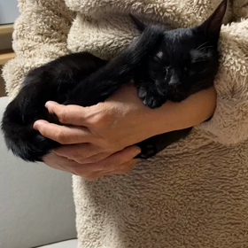 みゆと花梨ちゃんの画像