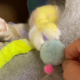 遊ぶようになってきたねの画像