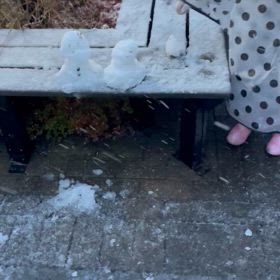 初雪の画像