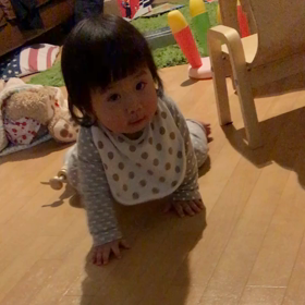 ハイハイの画像