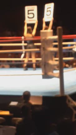 ボクシング観戦の記事動画