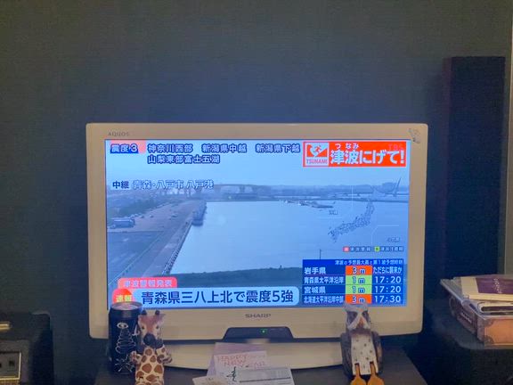 リアルな映像(>_<)の記事動画