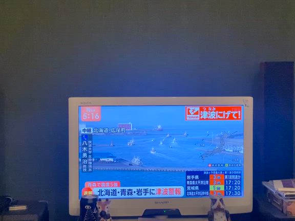 リアルな映像(>_<)の記事動画