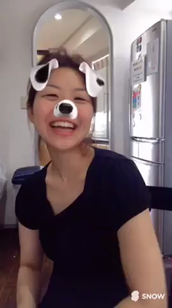 หมาの記事動画