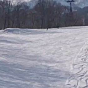 ⛷️ スキーの練習 ⛷️の画像