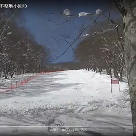 今はダメダメだけど・・・の画像