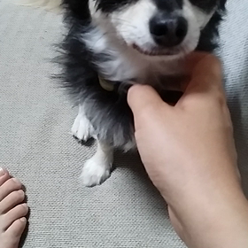 私に会ったらの画像